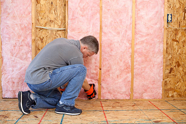 Best Insulation Replacement Services  in USA